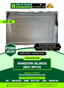 WINDOW BLINDS (BIG 9PCS)