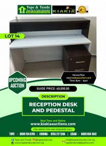Reception Desk and Pedestal